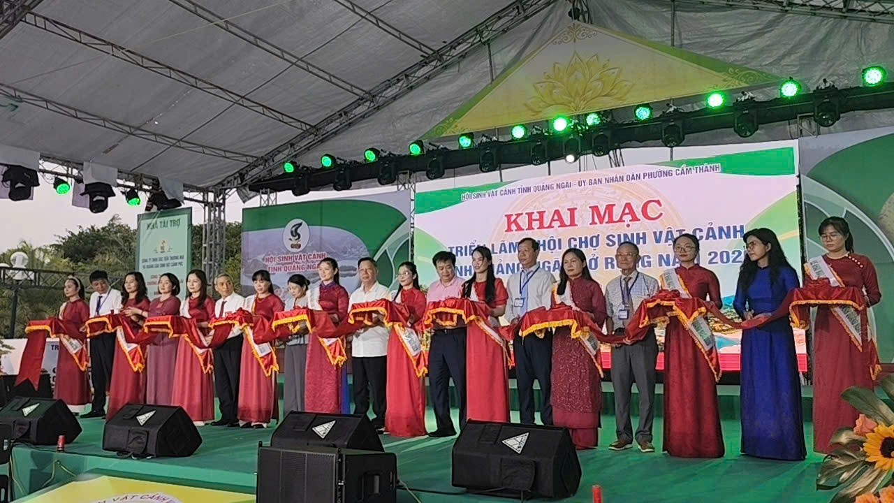Quảng Ngãi: Hội tụ tinh hoa sinh vật cảnh các vùng miền
