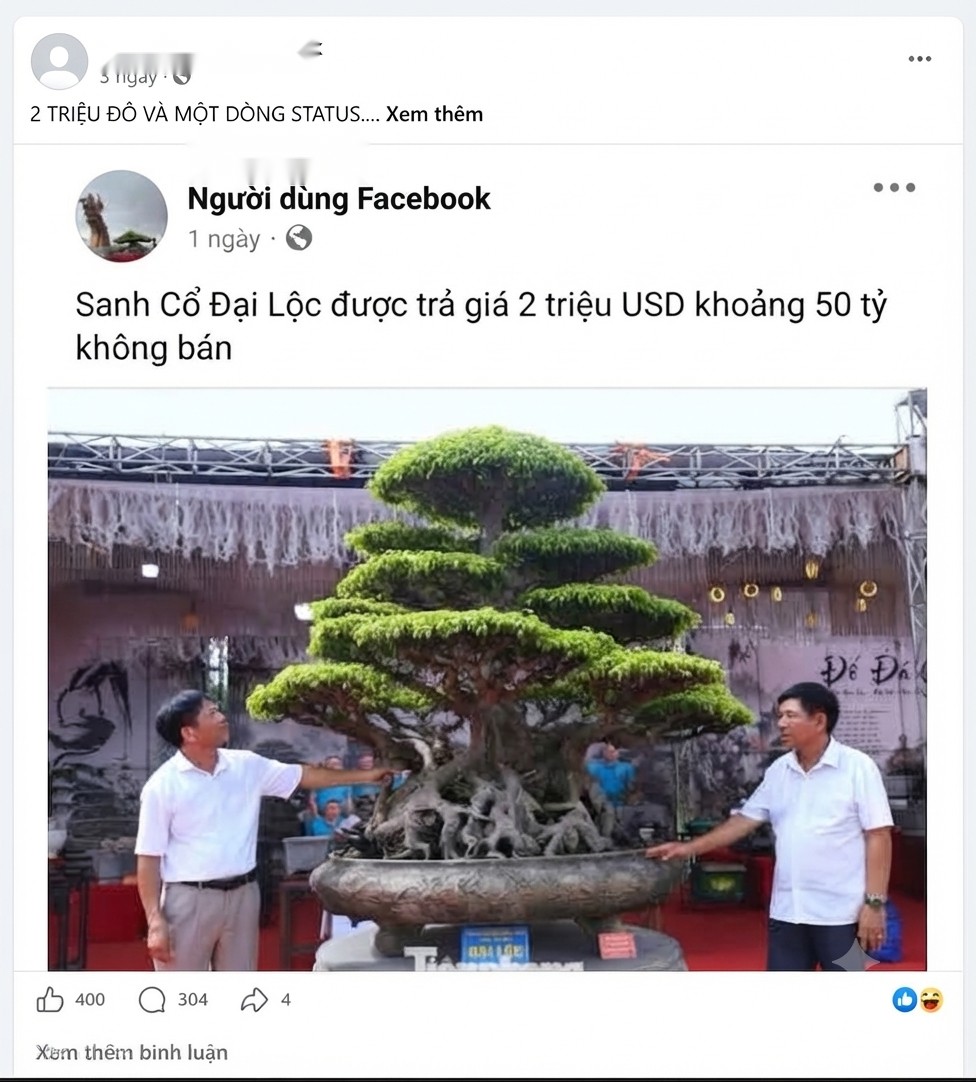 Cây 50 tỷ và câu chuyện “định giá bằng mồm” của thị trường cây cảnh Cây 50 tỷ và câu chuyện “định giá bằng mồm” của thị trường cây cảnh