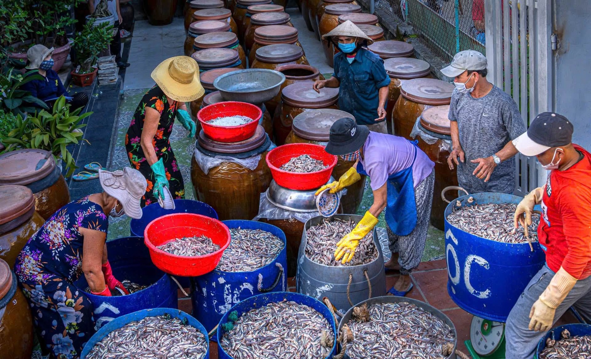 Giữ nghề nước mắm Nam Ô qua 4 thế hệ, thầy giáo Đà Nẵng được vinh danh Giữ nghề nước mắm Nam Ô qua 4 thế hệ, thầy giáo Đà Nẵng được vinh danh