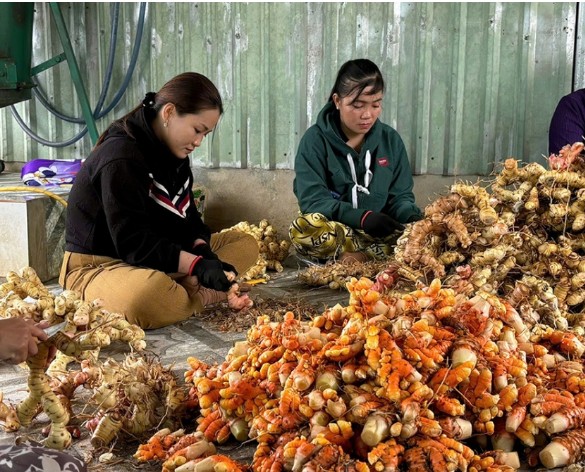 Từ rác thành vốn, từ phụ phẩm thành giá trị Từ rác thành vốn, từ phụ phẩm thành giá trị