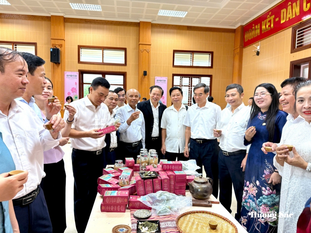 Kim Liên: Xây dựng vùng sen đa giá trị gắn với bảo vệ môi trường, phát triển cảnh quan và du lịch tại quê Bác Kim Liên: Xây dựng vùng sen đa giá trị gắn với bảo vệ môi trường, phát triển cảnh quan và du lịch tại quê Bác