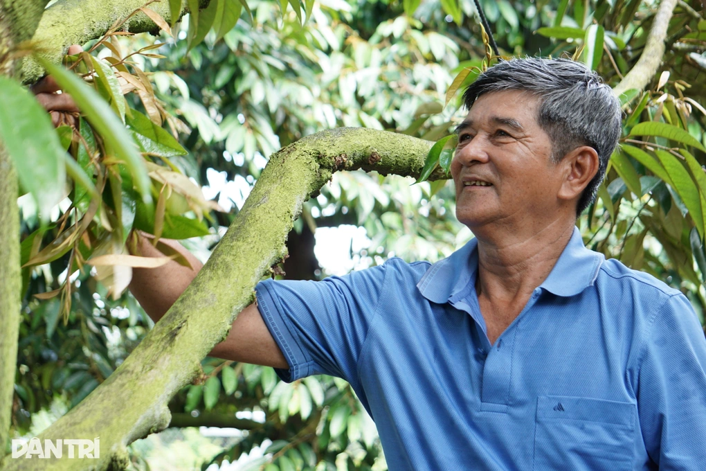 Lão nông Cần Thơ và hành trình đổi cây, đổi vận Lão nông Cần Thơ và hành trình đổi cây, đổi vận