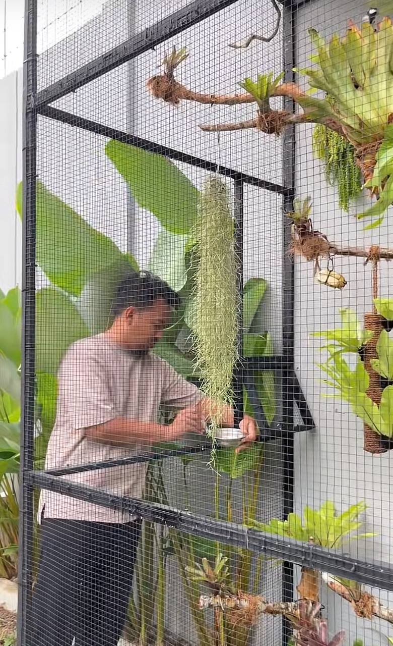 Bên trong nhà chim 6,5 triệu đồng gây sốt trên TikTok Bên trong nhà chim 6,5 triệu đồng gây sốt trên TikTok