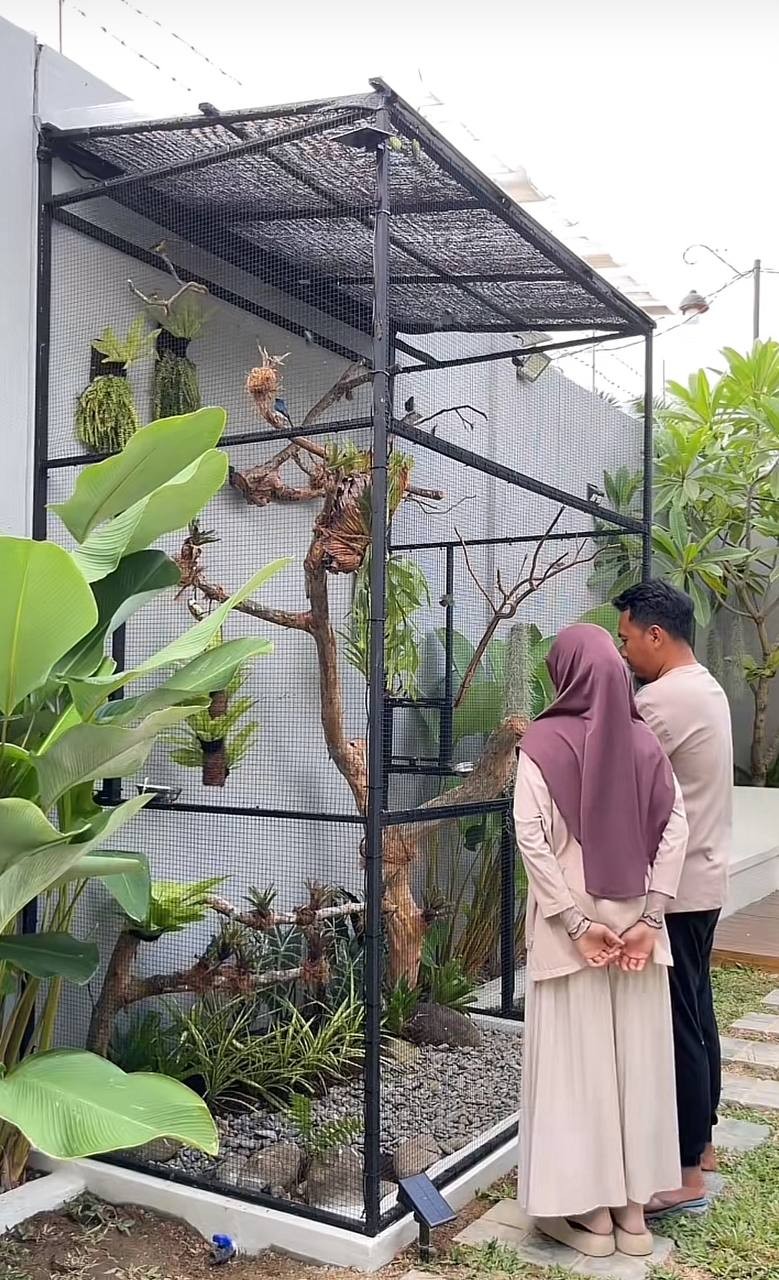 Bên trong nhà chim 6,5 triệu đồng gây sốt trên TikTok Bên trong nhà chim 6,5 triệu đồng gây sốt trên TikTok