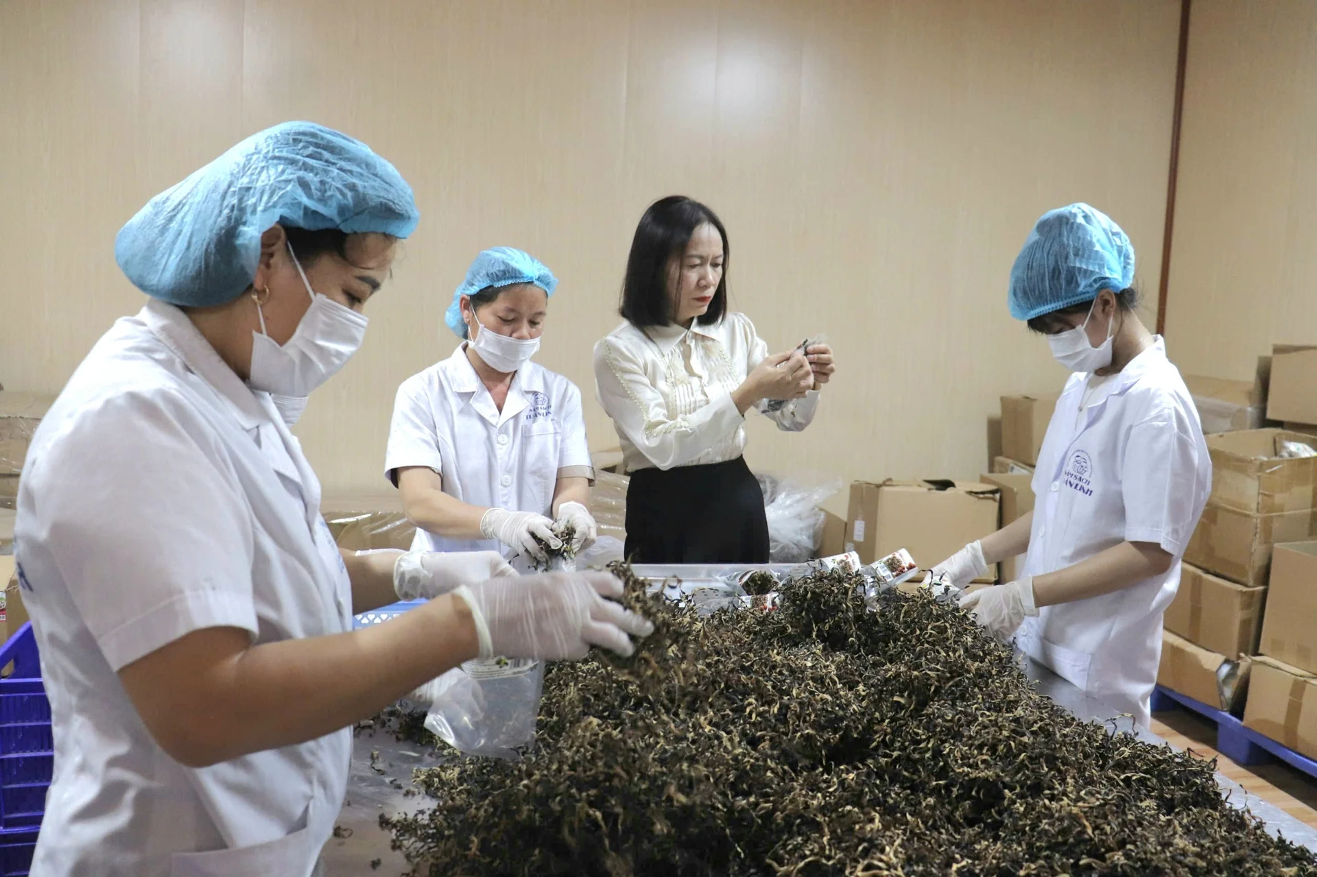 Vợ chồng Quảng Trị xây chuỗi nấm sạch từ 100m² Vợ chồng Quảng Trị xây chuỗi nấm sạch từ 100m²