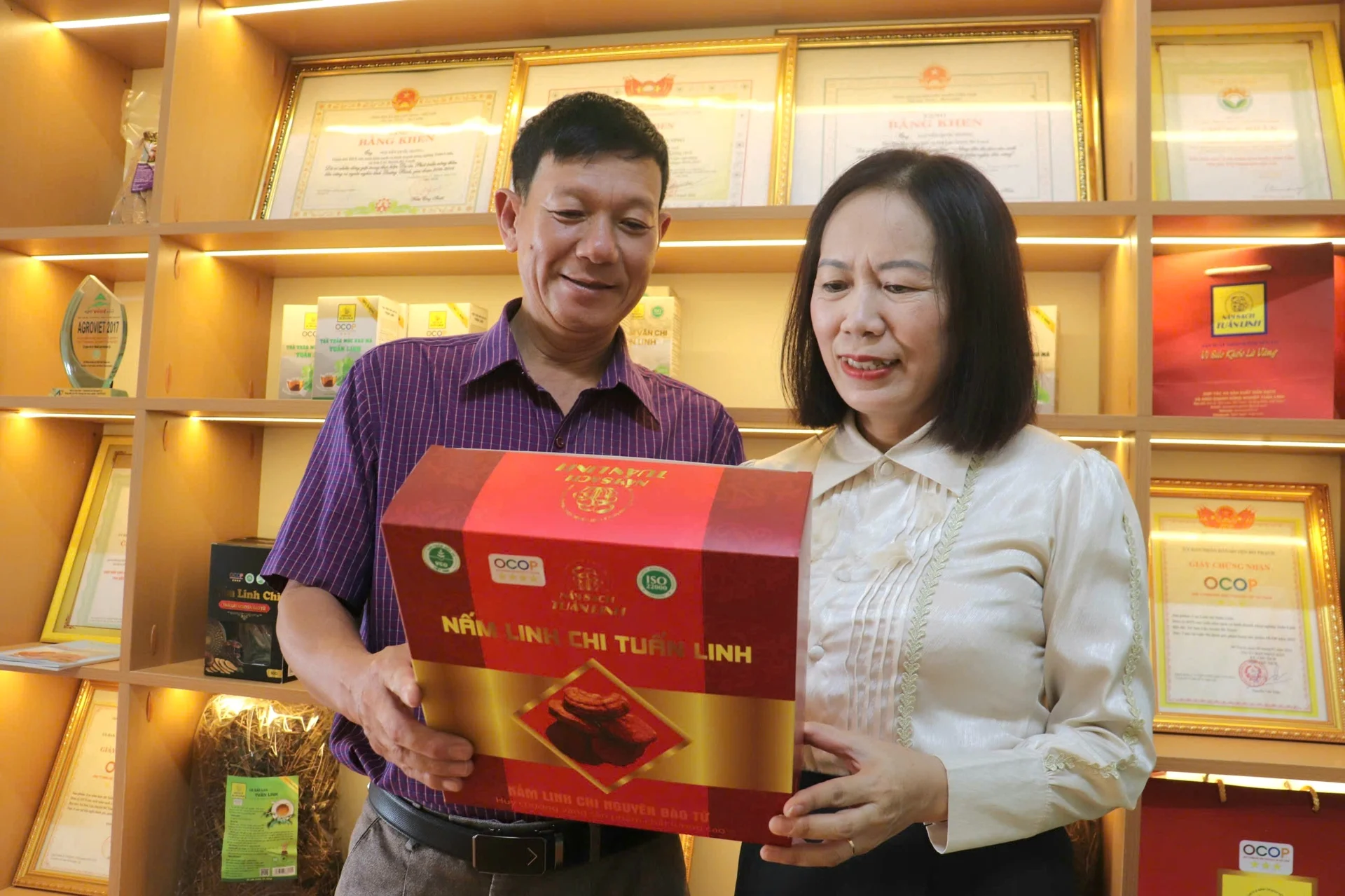 Vợ chồng Quảng Trị xây chuỗi nấm sạch từ 100m² Vợ chồng Quảng Trị xây chuỗi nấm sạch từ 100m²