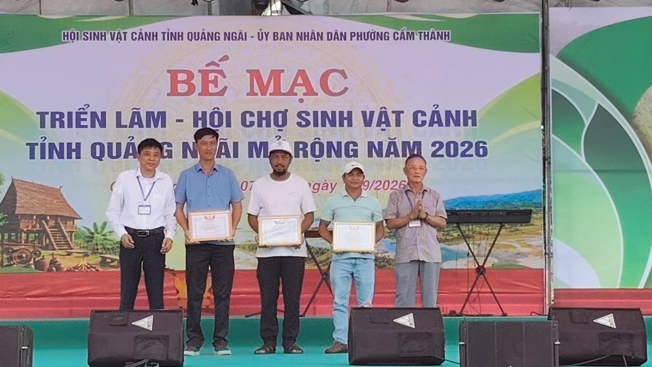 Hội chợ triển lãm Sinh vật cảnh Quảng Ngãi mở rộng 2026: Dấu ấn xã hội hóa và sức lan tỏa của phong trào Hội chợ triển lãm Sinh vật cảnh Quảng Ngãi mở rộng 2026: Dấu ấn xã hội hóa và sức lan tỏa của phong trào