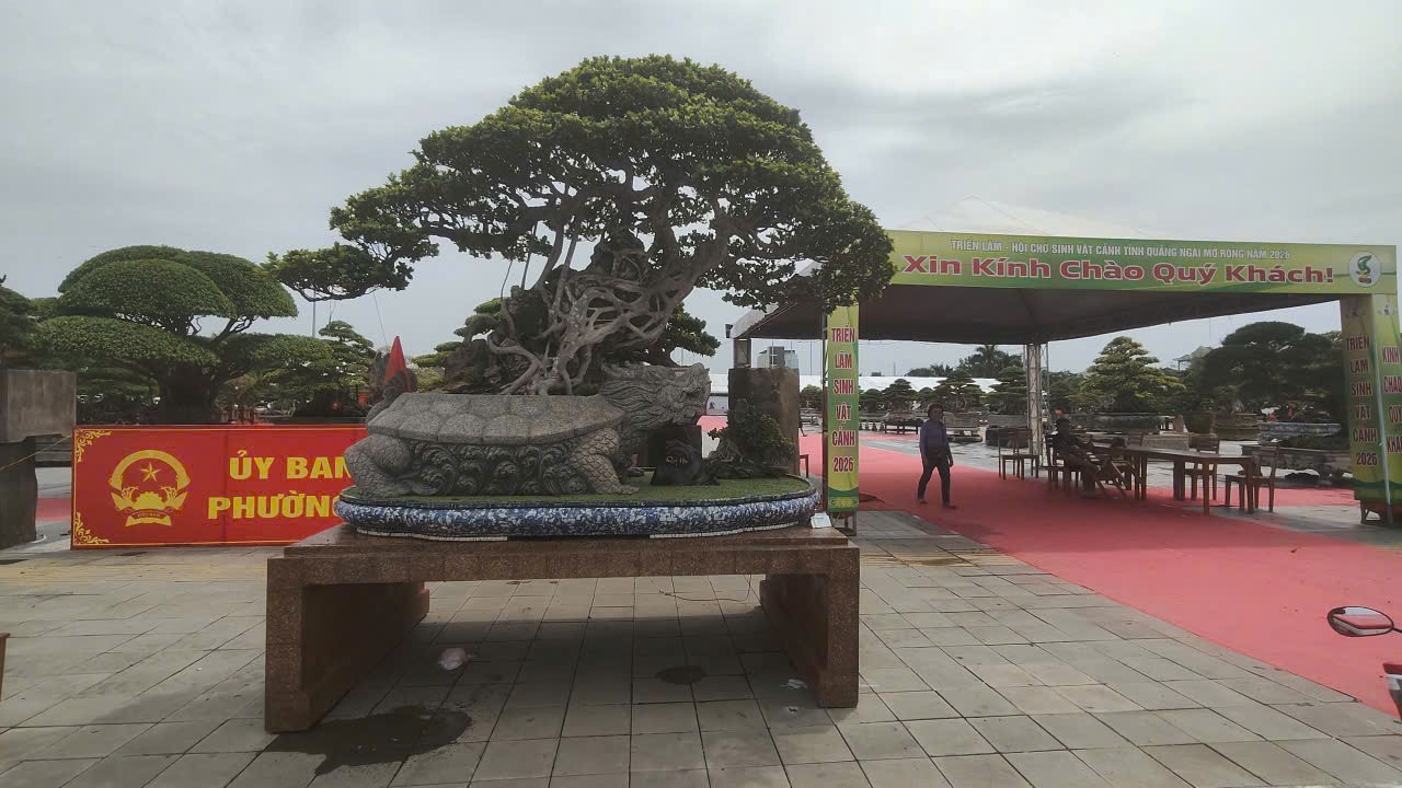 Hội chợ triển lãm Sinh vật cảnh Quảng Ngãi mở rộng 2026: Dấu ấn xã hội hóa và sức lan tỏa của phong trào Hội chợ triển lãm Sinh vật cảnh Quảng Ngãi mở rộng 2026: Dấu ấn xã hội hóa và sức lan tỏa của phong trào