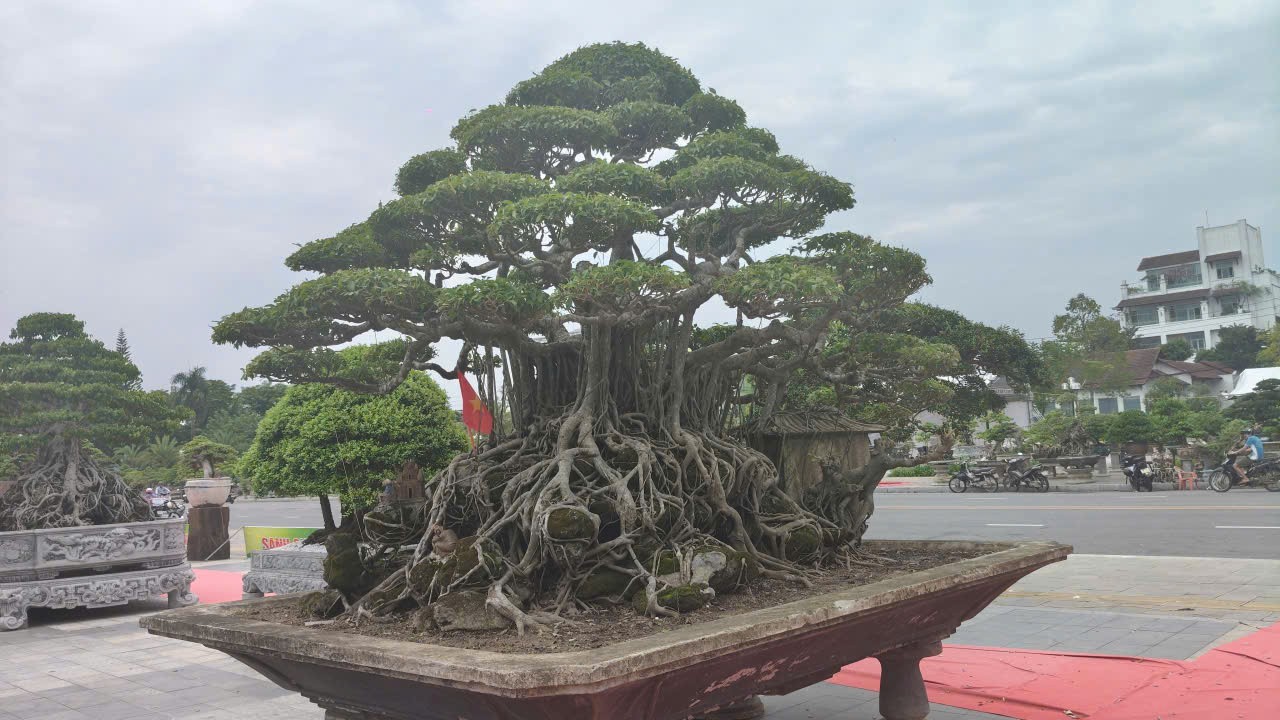 Hội chợ triển lãm Sinh vật cảnh Quảng Ngãi mở rộng 2026: Dấu ấn xã hội hóa và sức lan tỏa của phong trào Hội chợ triển lãm Sinh vật cảnh Quảng Ngãi mở rộng 2026: Dấu ấn xã hội hóa và sức lan tỏa của phong trào