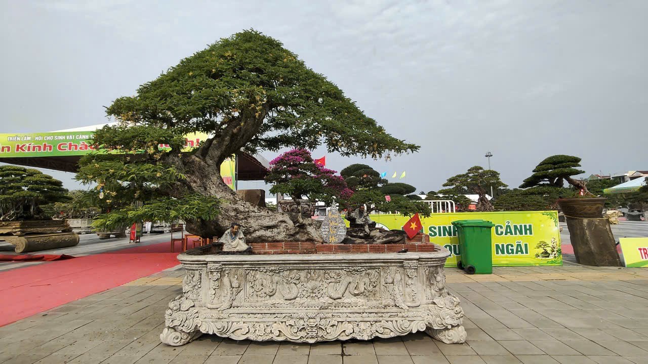 Hội chợ triển lãm Sinh vật cảnh Quảng Ngãi mở rộng 2026: Dấu ấn xã hội hóa và sức lan tỏa của phong trào Hội chợ triển lãm Sinh vật cảnh Quảng Ngãi mở rộng 2026: Dấu ấn xã hội hóa và sức lan tỏa của phong trào