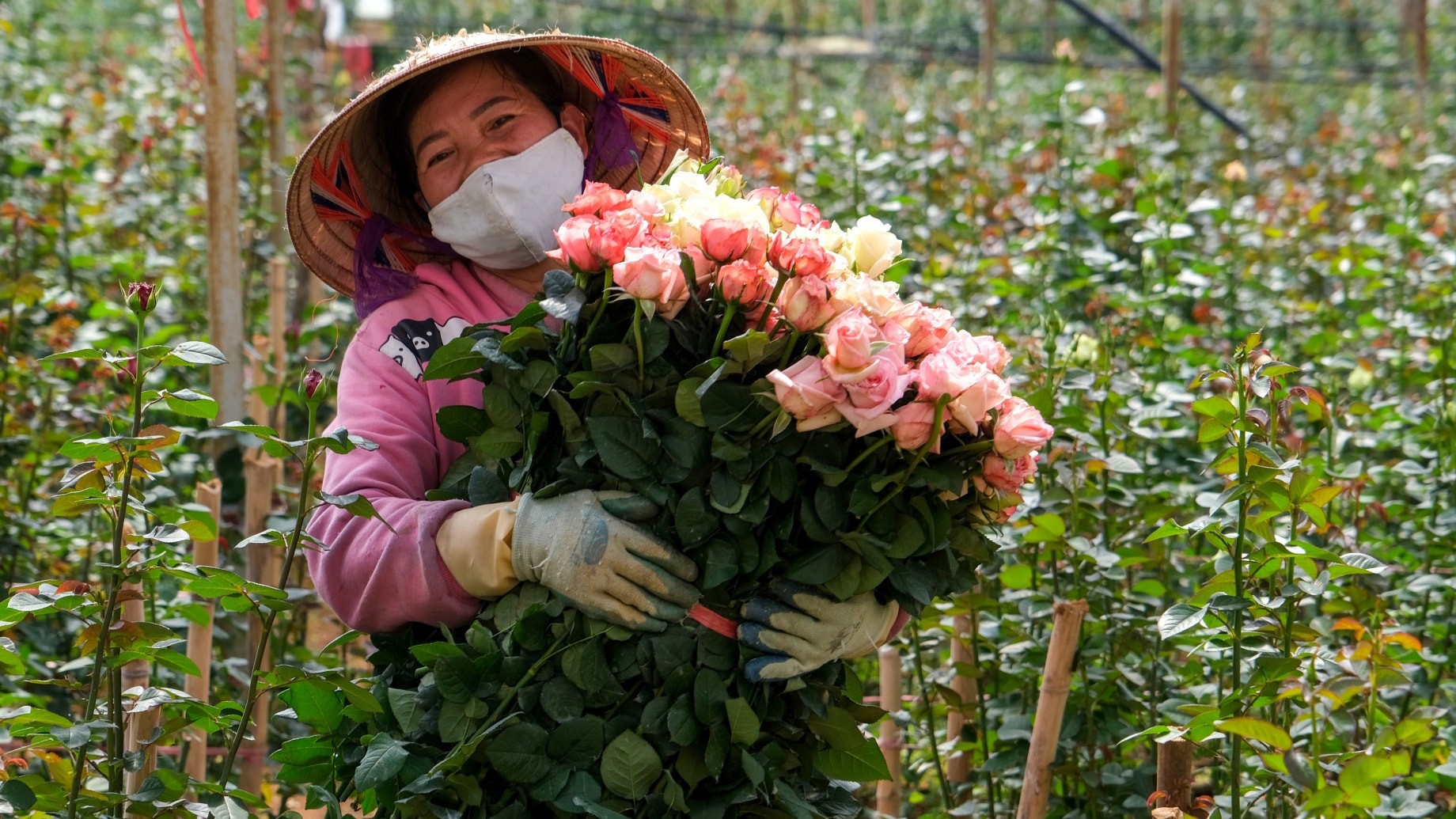 Festival Hoa Đà Lạt mở rộng không gian, kết nối chuỗi giá trị ngành hoa