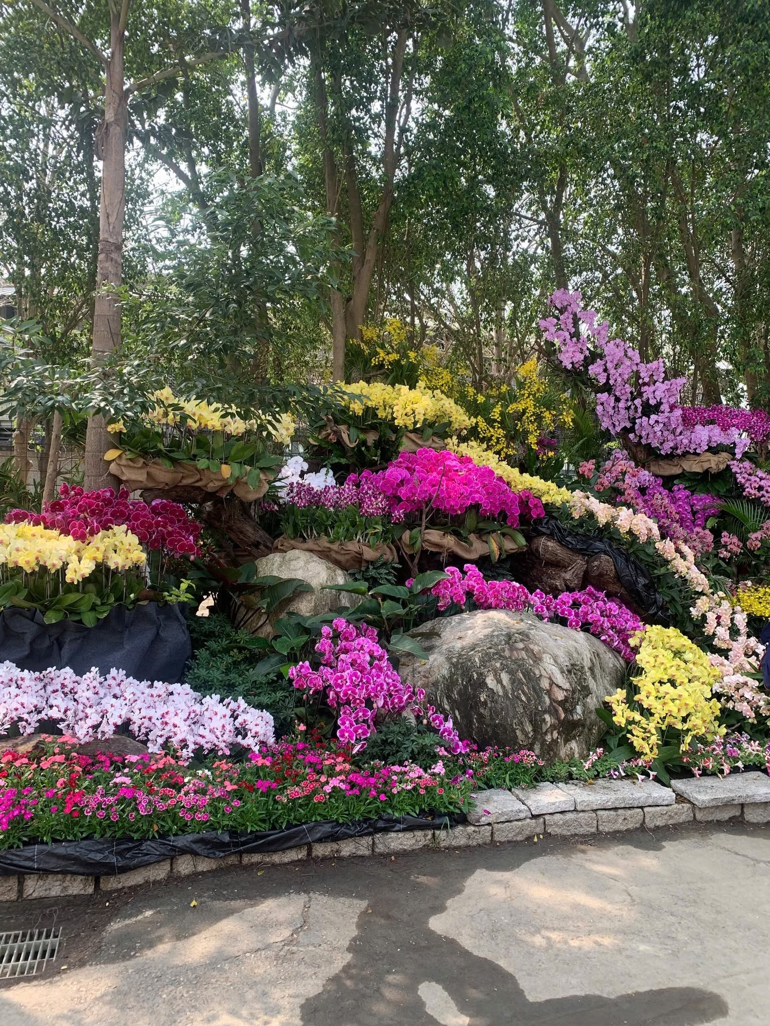 Festival Hoa Đà Lạt mở rộng không gian, kết nối chuỗi giá trị ngành hoa
