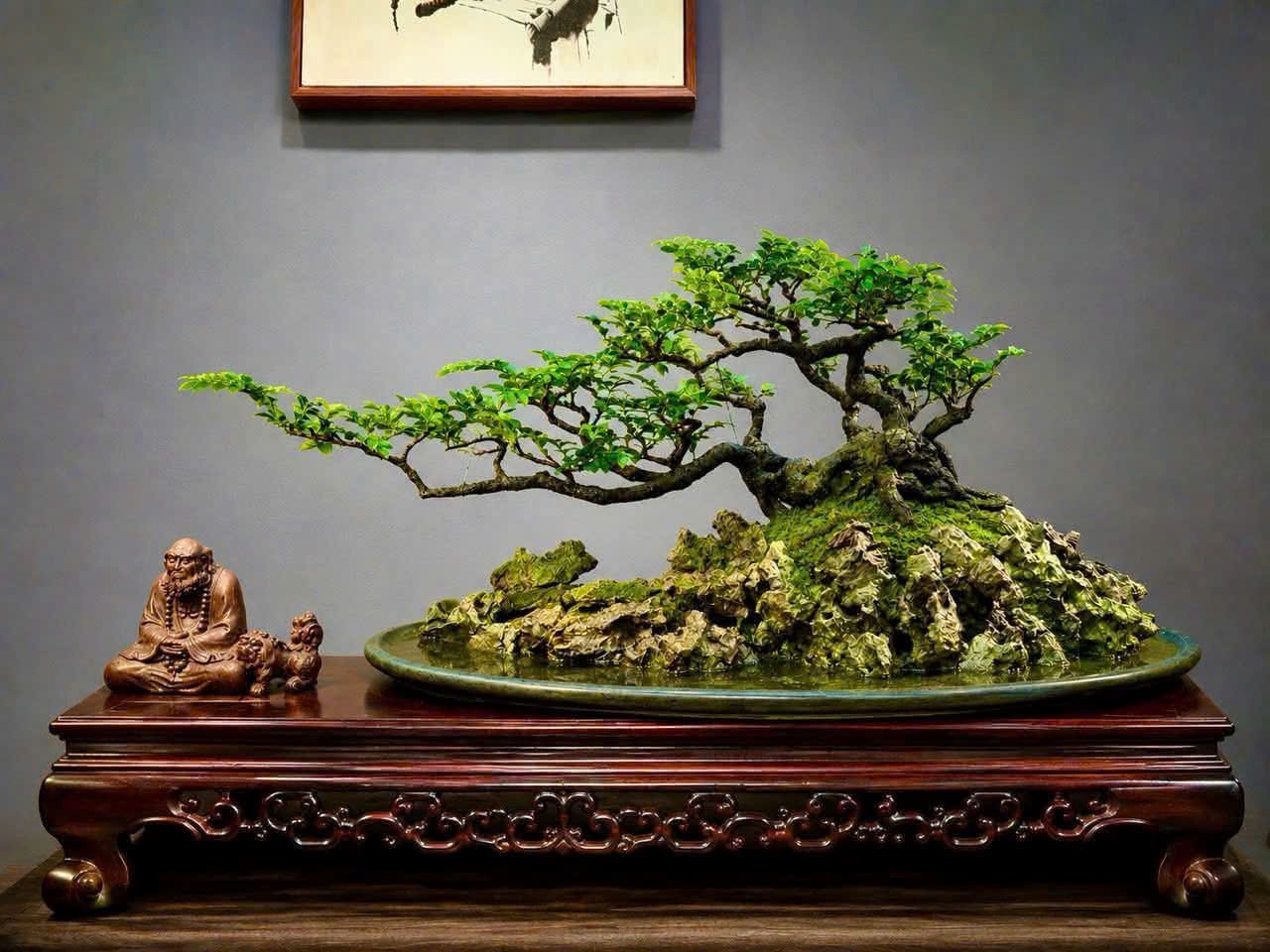 Tùng đen Quảng Ninh – từ dáng cây đến giá trị sinh vật cảnh Tùng đen Quảng Ninh – từ dáng cây đến giá trị sinh vật cảnh