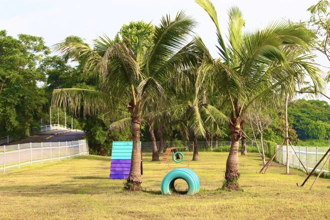 Độc đáo công viên dành riêng cho chó đầu tiên tại Hà Nội Độc đáo công viên dành riêng cho chó đầu tiên tại Hà Nội