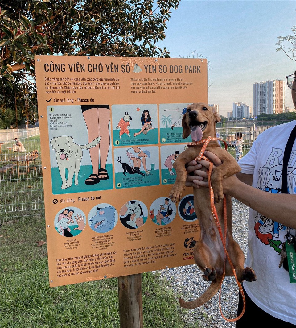 Độc đáo công viên dành riêng cho chó đầu tiên tại Hà Nội Độc đáo công viên dành riêng cho chó đầu tiên tại Hà Nội