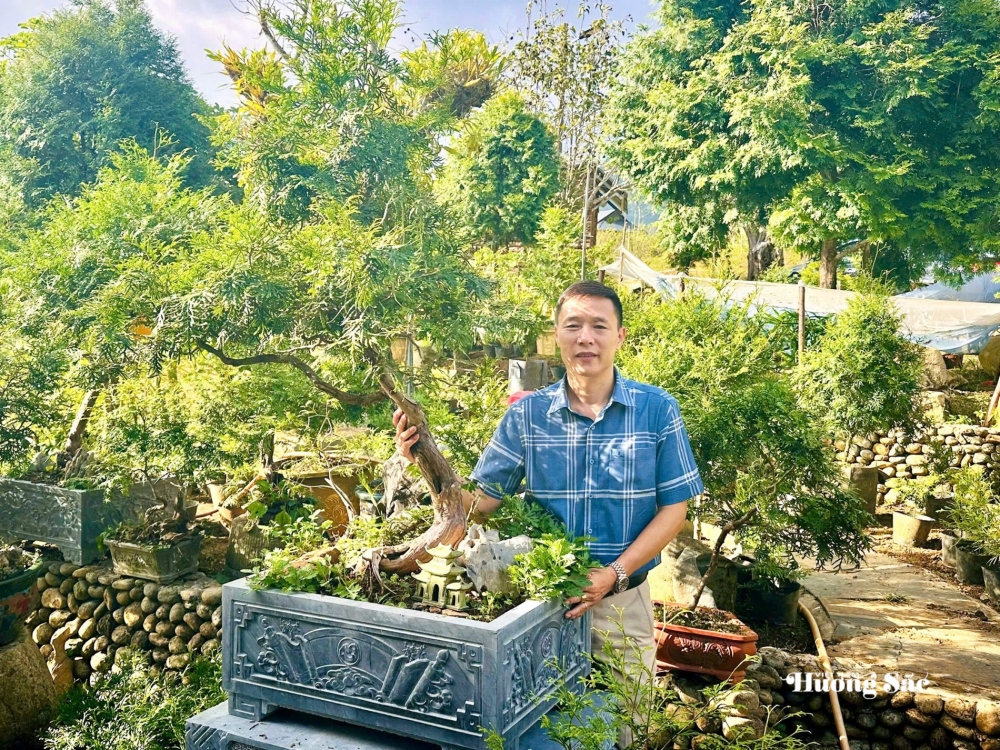 Bách xanh núi đá: Từ bảo tồn đến hành trình tạo giá trị mới ở Lai Châu Bách xanh núi đá: Từ bảo tồn đến hành trình tạo giá trị mới ở Lai Châu