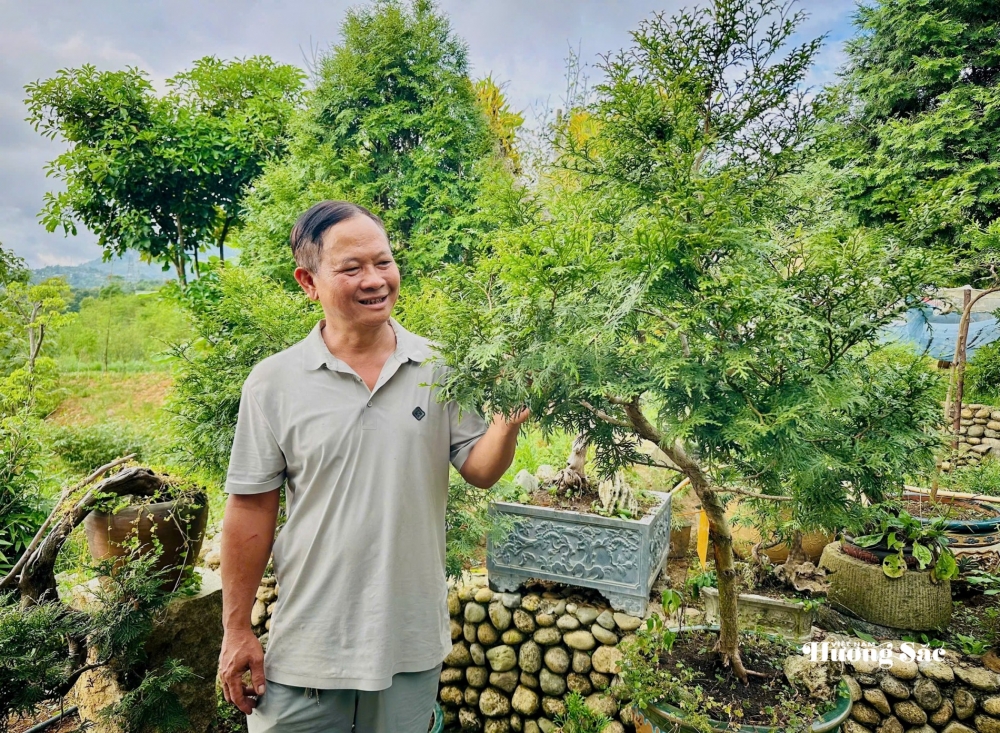 Bách xanh núi đá: Từ bảo tồn đến hành trình tạo giá trị mới ở Lai Châu Bách xanh núi đá: Từ bảo tồn đến hành trình tạo giá trị mới ở Lai Châu