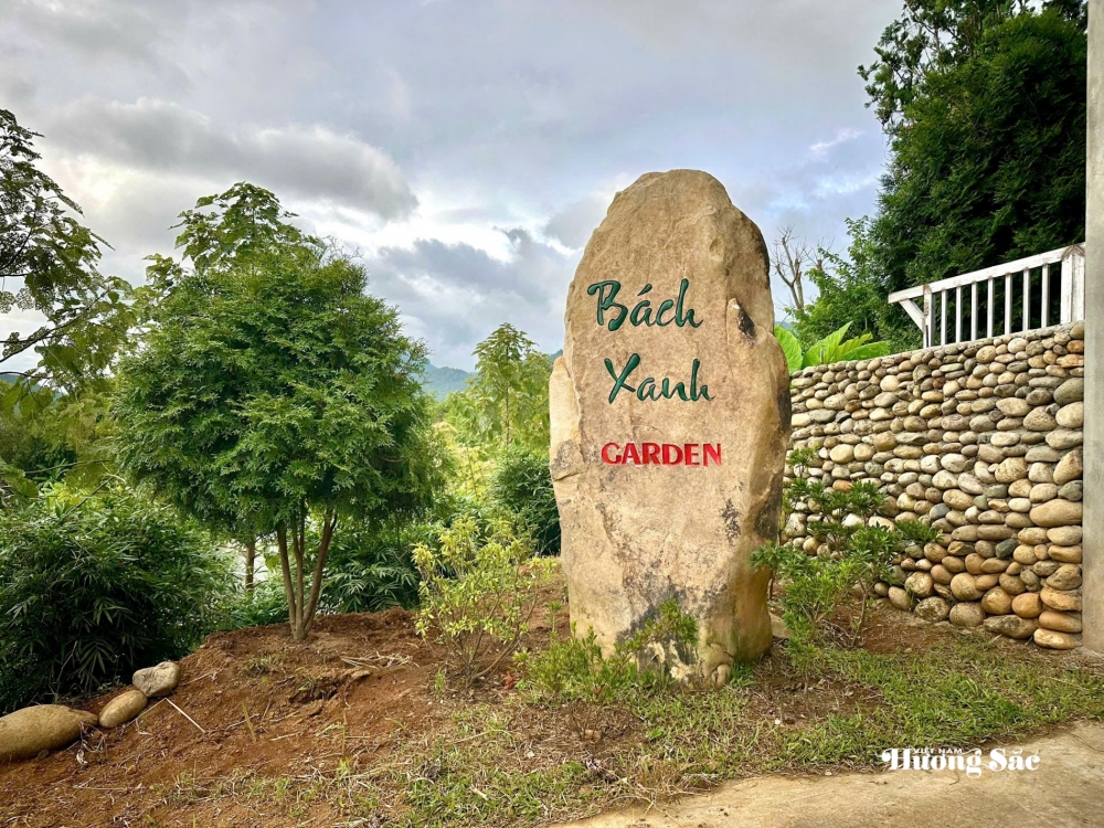 Bách xanh núi đá: Từ bảo tồn đến hành trình tạo giá trị mới ở Lai Châu Bách xanh núi đá: Từ bảo tồn đến hành trình tạo giá trị mới ở Lai Châu