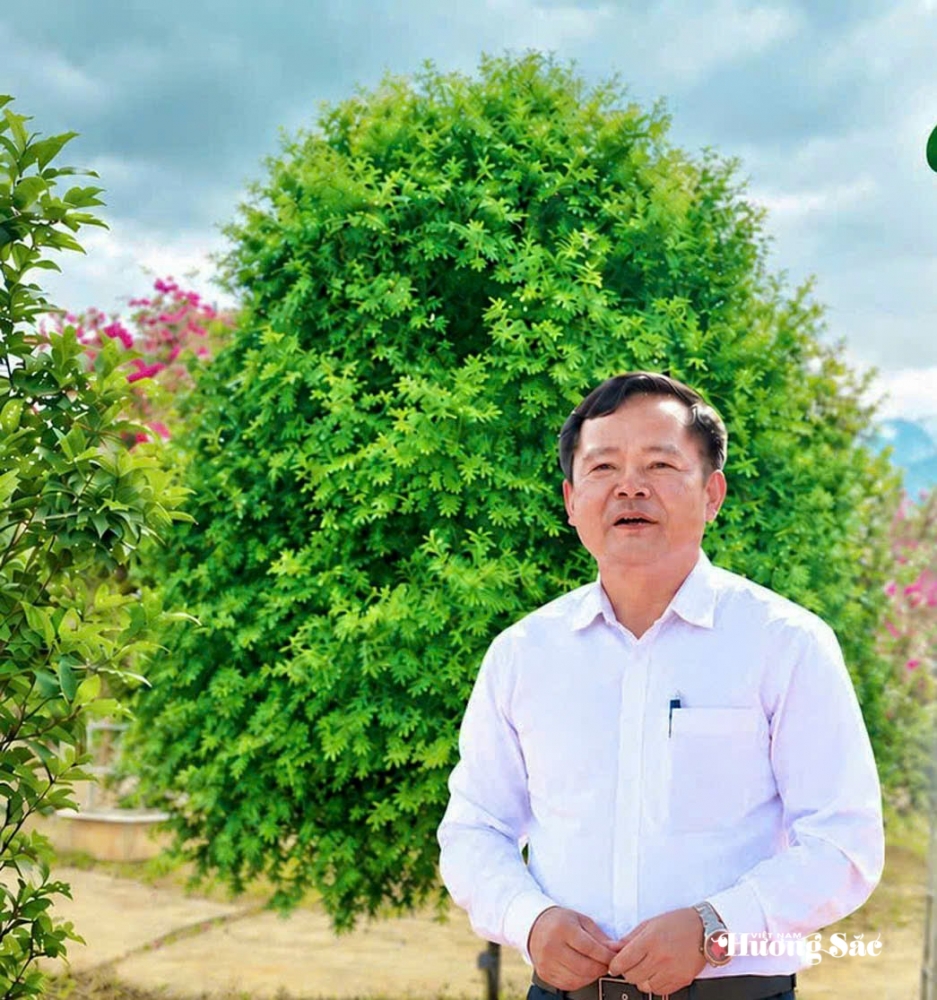 Bách xanh núi đá: Từ bảo tồn đến hành trình tạo giá trị mới ở Lai Châu Bách xanh núi đá: Từ bảo tồn đến hành trình tạo giá trị mới ở Lai Châu