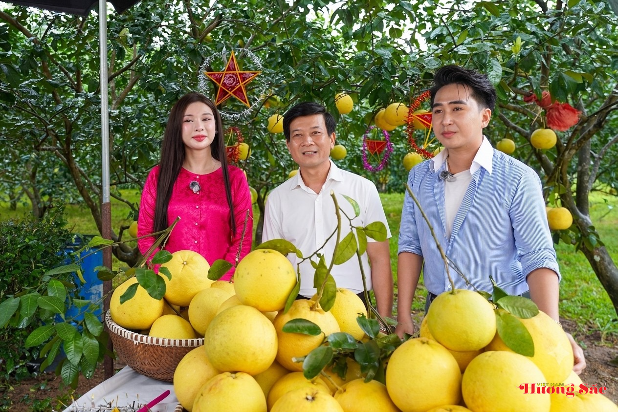 Đặc sản Hà Tĩnh tìm đầu ra mới trên nền tảng số Mega Live Đặc sản Hà Tĩnh tìm đầu ra mới trên nền tảng số Mega Live