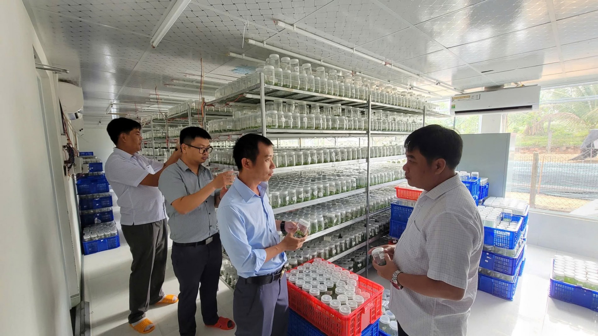 Nông dân Gia Lai cung ứng 21 triệu cây giống mỗi năm Nông dân Gia Lai cung ứng 21 triệu cây giống mỗi năm