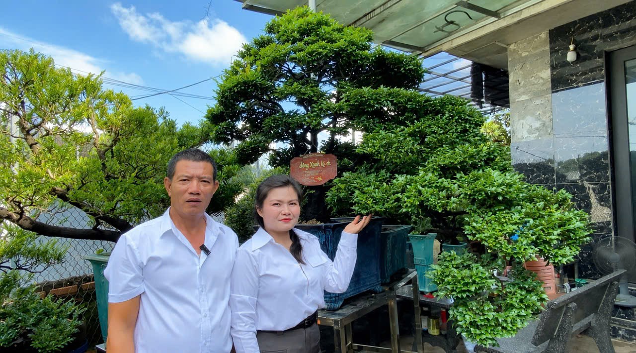 Tùng đen và người nghệ nhân mang trong mình “chất cây” Tùng đen và người nghệ nhân mang trong mình “chất cây”