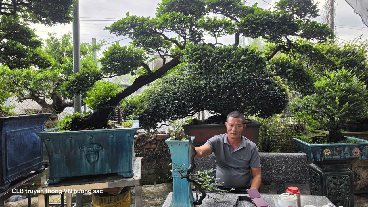 Tùng đen và người nghệ nhân mang trong mình “chất cây” Tùng đen và người nghệ nhân mang trong mình “chất cây”