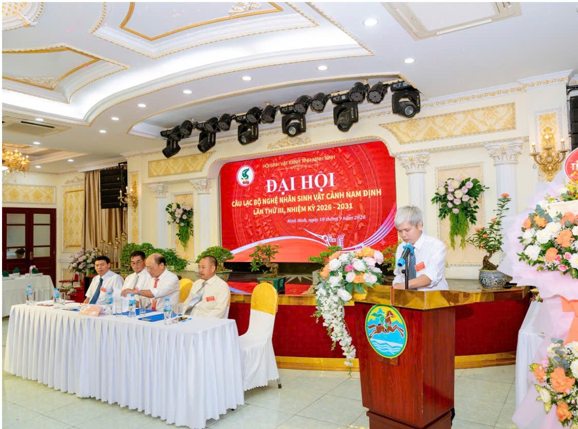 CLB nghệ nhân Sinh vật cảnh Nam Định đổi mới hoạt động, nâng tầm giá trị Sinh vật cảnh CLB nghệ nhân Sinh vật cảnh Nam Định đổi mới hoạt động, nâng tầm giá trị Sinh vật cảnh