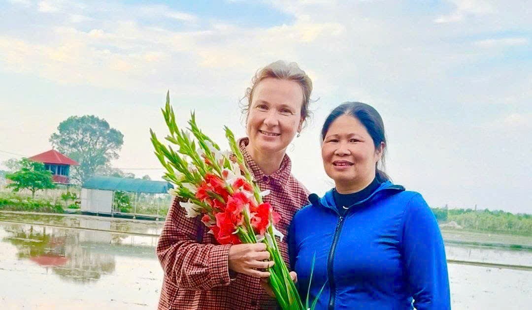 Hồng Minh (Hưng Yên): Mở hướng phát triển đa giá trị từ cây sen