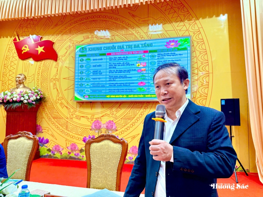 Sen Hải Phòng: Đánh thức giá trị đa ngành từ chuyển đổi số Sen Hải Phòng: Đánh thức giá trị đa ngành từ chuyển đổi số