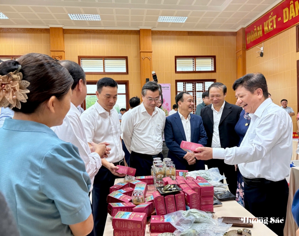 Hồng Minh (Hưng Yên): Mở hướng phát triển đa giá trị từ cây sen