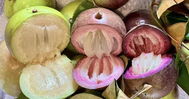 Những công dụng bất ngờ của quả vú sữa có thể bạn chưa biết Những công dụng bất ngờ của quả vú sữa có thể bạn chưa biết