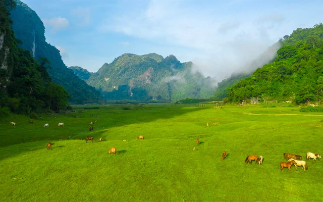 Thảo nguyên 100 ha ở Lạng Sơn: Mùa khô thả ngựa, mùa nước chèo kayak Thảo nguyên 100 ha ở Lạng Sơn: Mùa khô thả ngựa, mùa nước chèo kayak