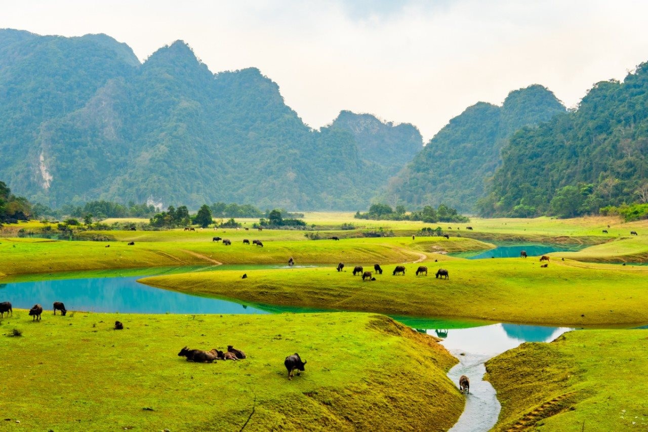 Thảo nguyên 100 ha ở Lạng Sơn: Mùa khô thả ngựa, mùa nước chèo kayak Thảo nguyên 100 ha ở Lạng Sơn: Mùa khô thả ngựa, mùa nước chèo kayak