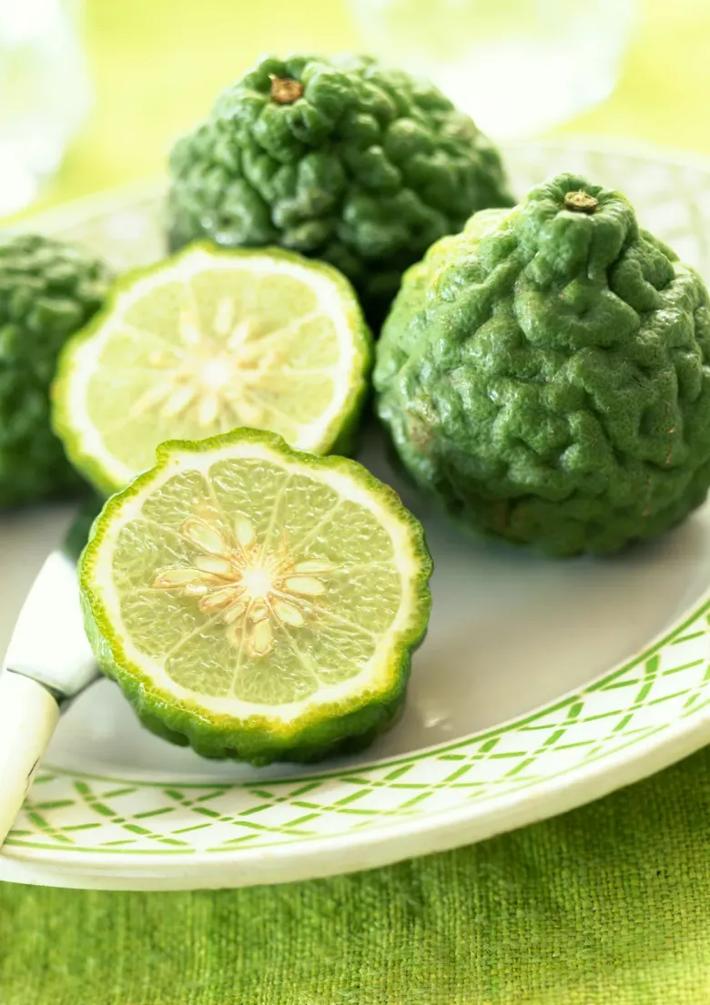Cây chúc (Chanh Kaffir): Xu hướng trồng cây gia vị làm cảnh độc đáo