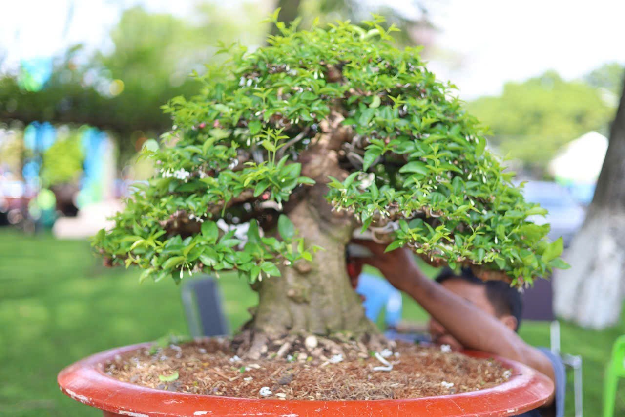 Nghệ nhân Vương Quốc Hưng – gieo mầm nghệ thuật, lan tỏa giá trị nhân văn Nghệ nhân Vương Quốc Hưng – gieo mầm nghệ thuật, lan tỏa giá trị nhân văn