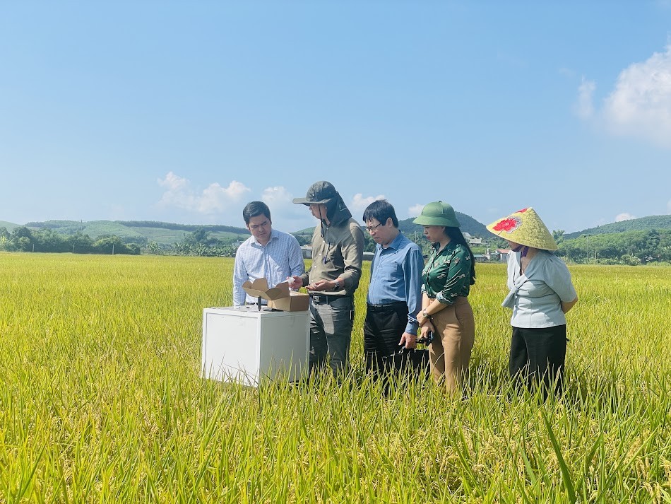 Quảng Ninh: Canh tác lúa giảm phát thải - từ mô hình thực nghiệm đến hướng đi nông nghiệp xanh Quảng Ninh: Canh tác lúa giảm phát thải - từ mô hình thực nghiệm đến hướng đi nông nghiệp xanh