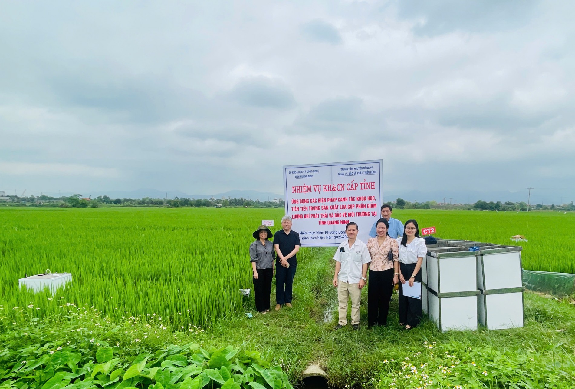 Quảng Ninh: Canh tác lúa giảm phát thải - từ mô hình thực nghiệm đến hướng đi nông nghiệp xanh Quảng Ninh: Canh tác lúa giảm phát thải - từ mô hình thực nghiệm đến hướng đi nông nghiệp xanh