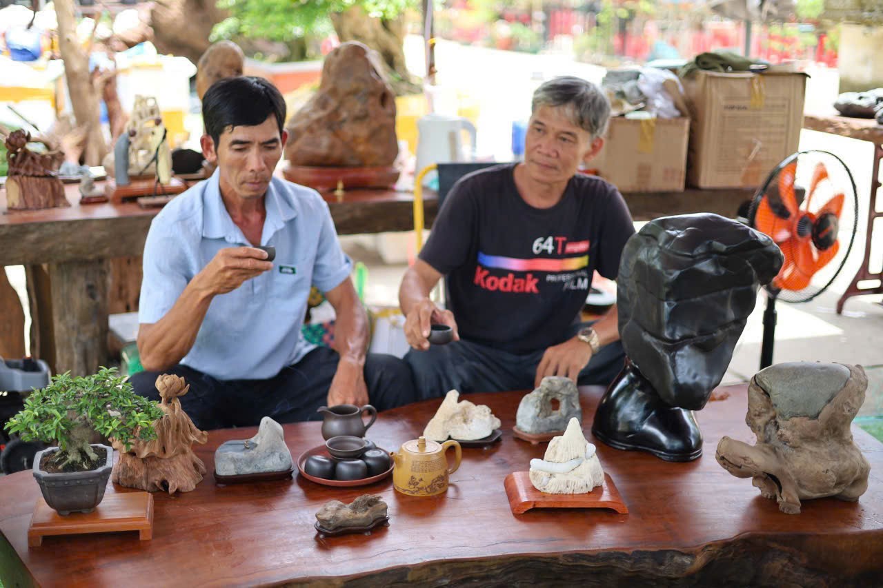 Rừng Tùng trên phiến gỗ - Khi nghệ thuật Bonsai bước ra khỏi chiếc chậu Rừng Tùng trên phiến gỗ - Khi nghệ thuật Bonsai bước ra khỏi chiếc chậu