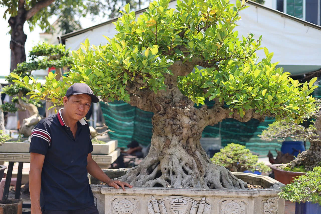 Đam mê mãnh liệt – từ người tài xế đến nghệ nhân bonsai với hàng trăm tác phẩm giá trị Đam mê mãnh liệt – từ người tài xế đến nghệ nhân bonsai với hàng trăm tác phẩm giá trị