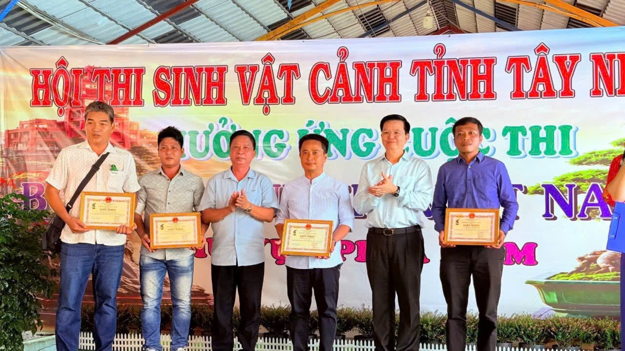 Hội thi Bonsai & Suiseki Tây Ninh mở rộng – Nơi hội tụ nghệ thuật và những cuộc gặp gỡ đáng nhớ Hội thi Bonsai & Suiseki Tây Ninh mở rộng – Nơi hội tụ nghệ thuật và những cuộc gặp gỡ đáng nhớ