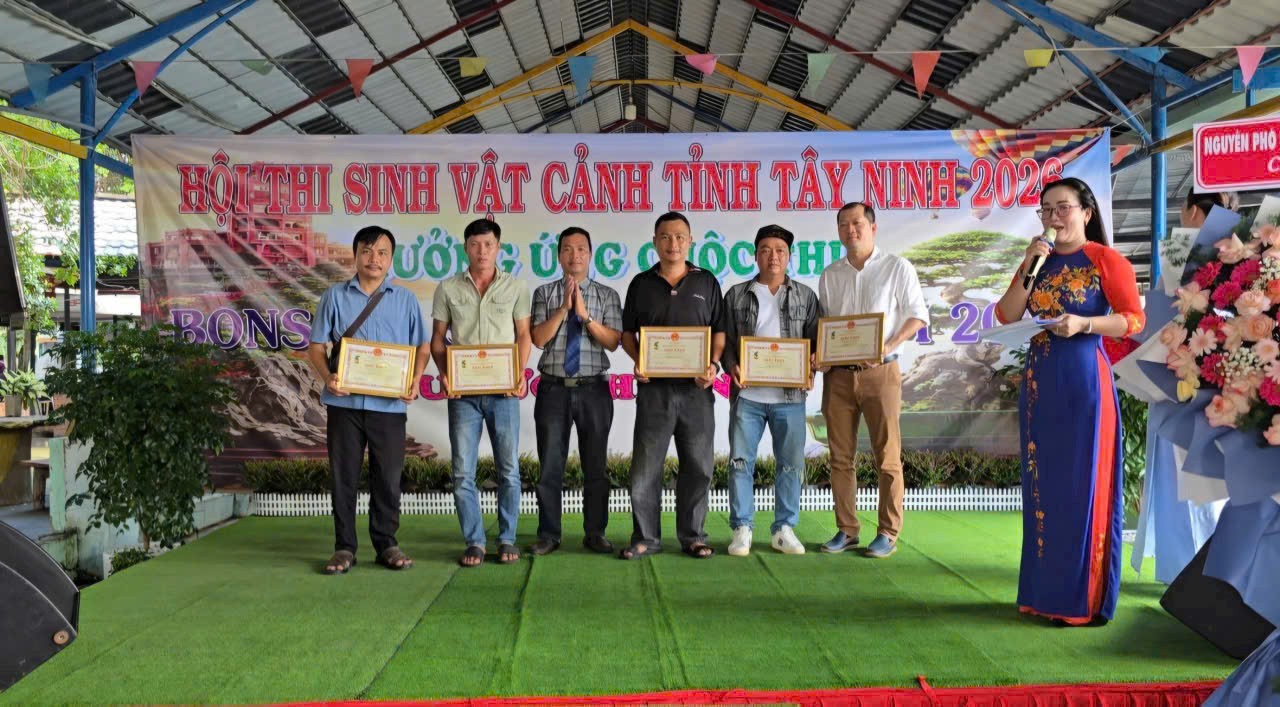 Hội thi Bonsai & Suiseki Tây Ninh mở rộng – Nơi hội tụ nghệ thuật và những cuộc gặp gỡ đáng nhớ Hội thi Bonsai & Suiseki Tây Ninh mở rộng – Nơi hội tụ nghệ thuật và những cuộc gặp gỡ đáng nhớ