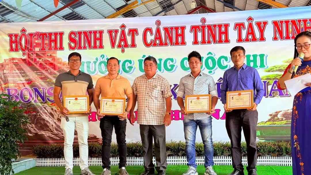 Hội thi Bonsai & Suiseki Tây Ninh mở rộng – Nơi hội tụ nghệ thuật và những cuộc gặp gỡ đáng nhớ Hội thi Bonsai & Suiseki Tây Ninh mở rộng – Nơi hội tụ nghệ thuật và những cuộc gặp gỡ đáng nhớ