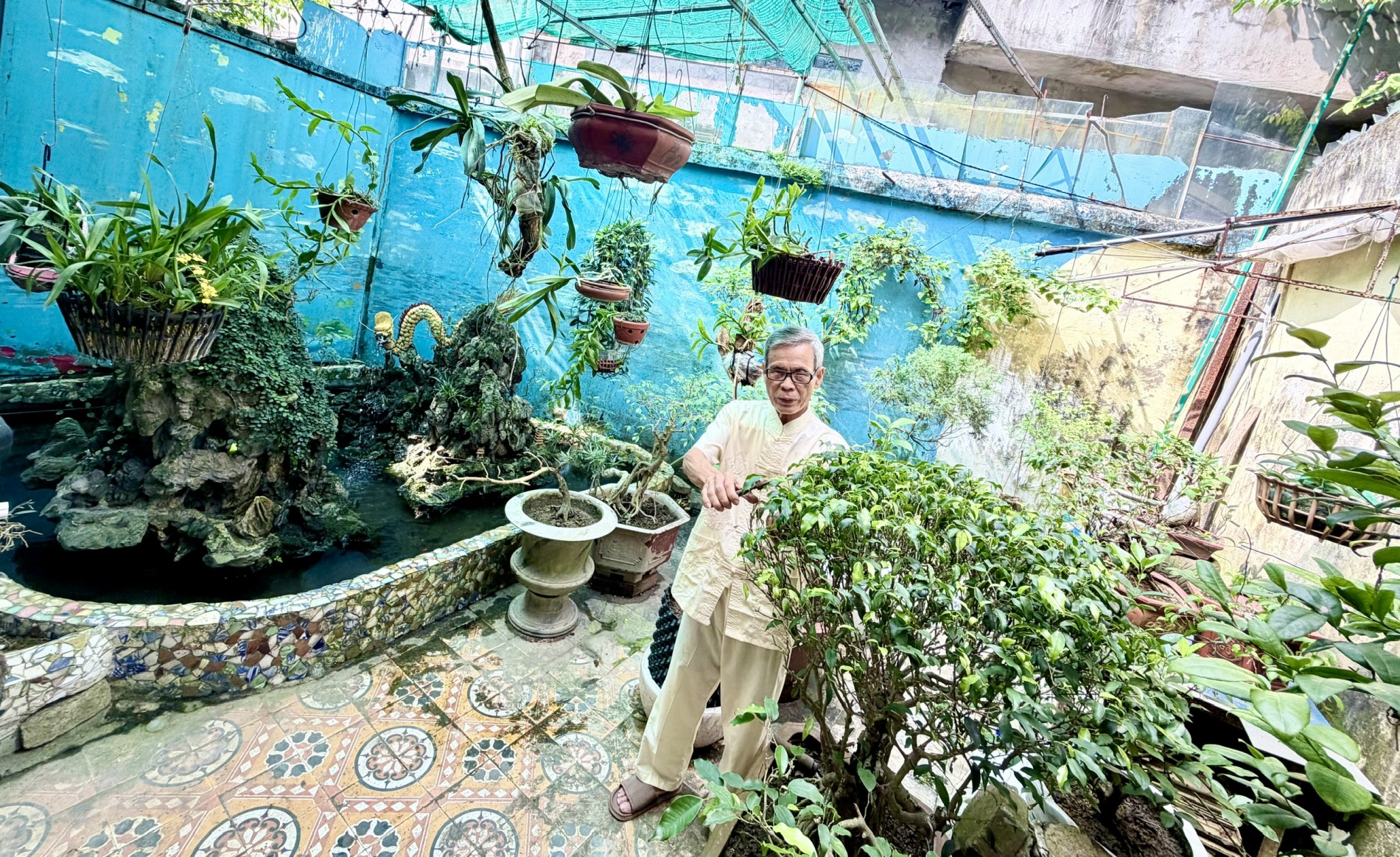 Bàn về việc đặt tên và bình cây cảnh nghệ thuật Bàn về việc đặt tên và bình cây cảnh nghệ thuật