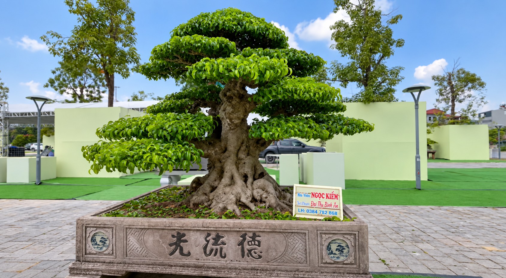 Sanh già hội tụ trong ngày đầu nhận cây tại Triển lãm Đông Anh