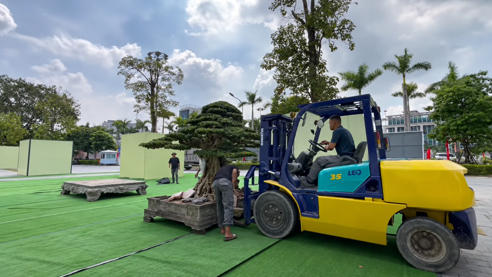 Sanh già hội tụ trong ngày đầu nhận cây tại Triển lãm Đông Anh