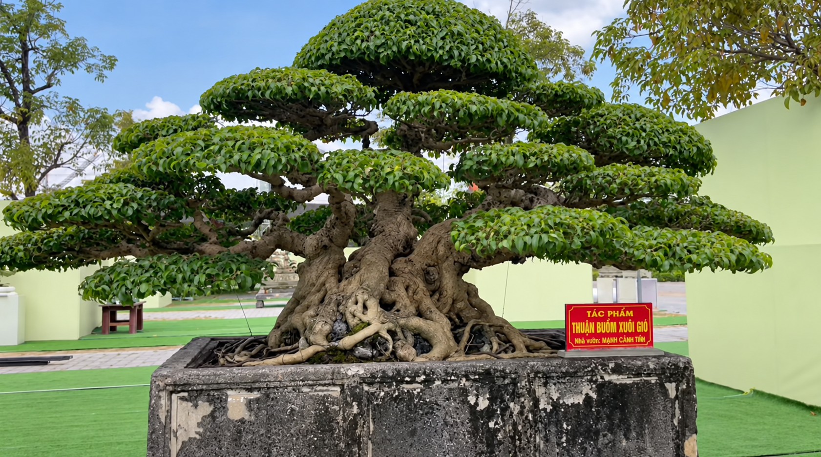 Sanh già hội tụ trong ngày đầu nhận cây tại Triển lãm Đông Anh