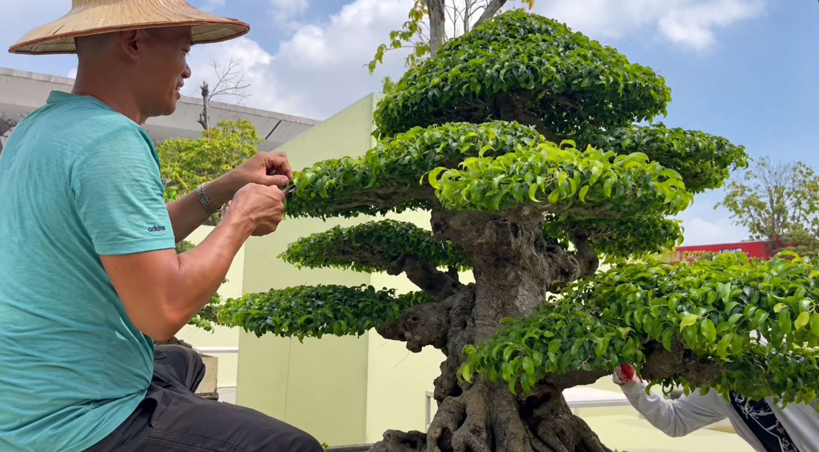 Sanh già hội tụ trong ngày đầu nhận cây tại Triển lãm Đông Anh