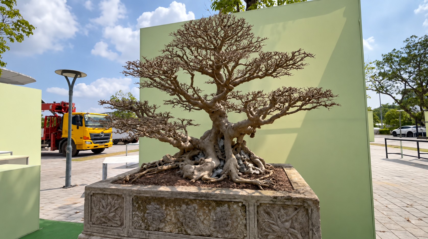 Sanh già hội tụ trong ngày đầu nhận cây tại Triển lãm Đông Anh