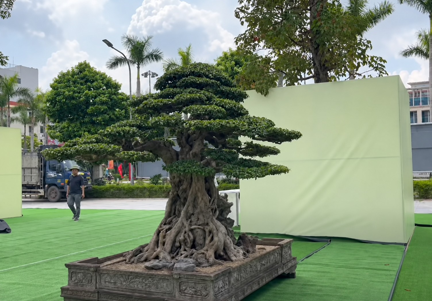 Sanh già hội tụ trong ngày đầu nhận cây tại Triển lãm Đông Anh